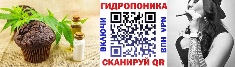 Cannafood конопля  закладки  Кедровый 