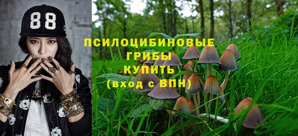 МДПВ Новокубанск