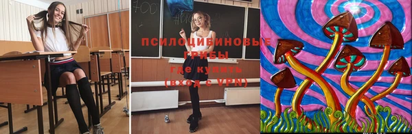 мескалин Няндома